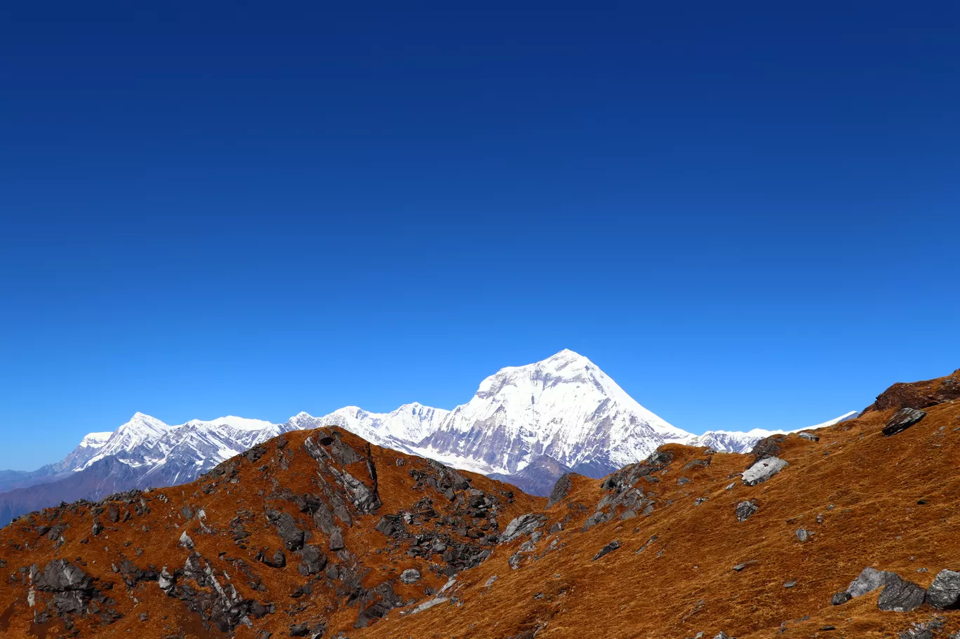 Photo of Annapurna Conservation Area By Parashu Ram Nepal