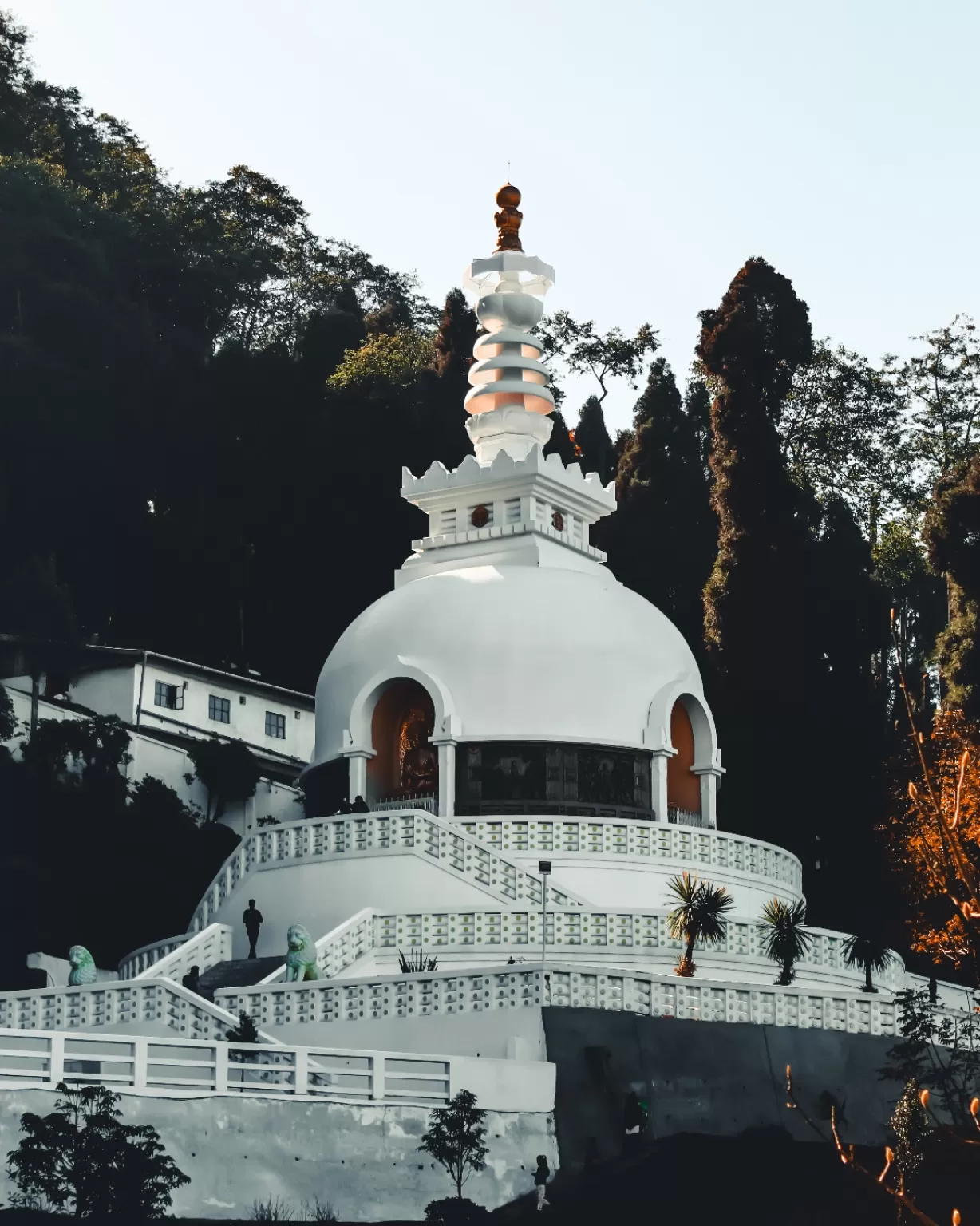 Photo of Peace Pagoda By Shivang Katara