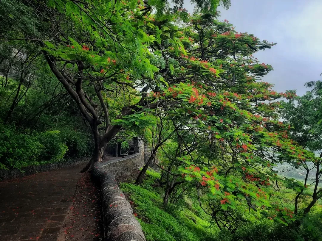 Photo of Sahyadri Mountains By Omkar Mhetre