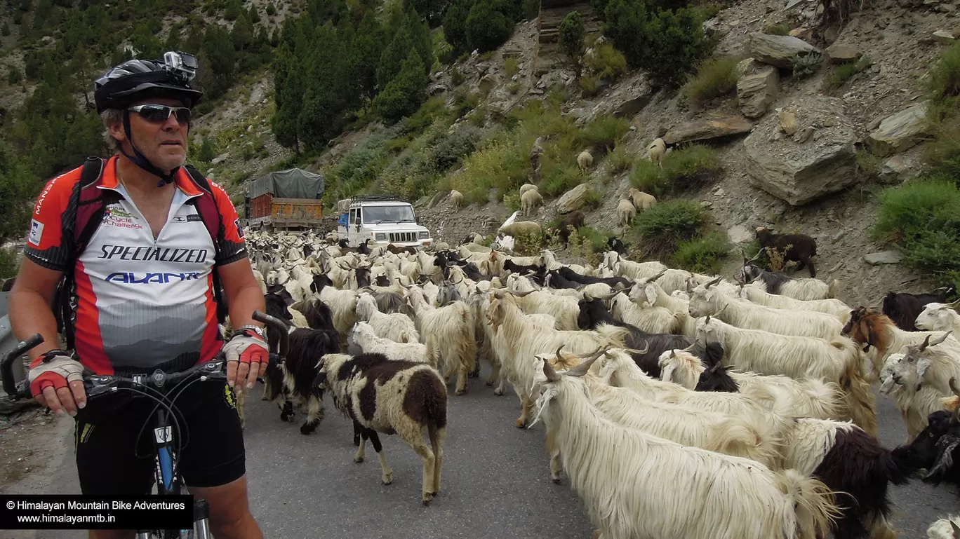 Photo of Manali By Himalayan Mtb
