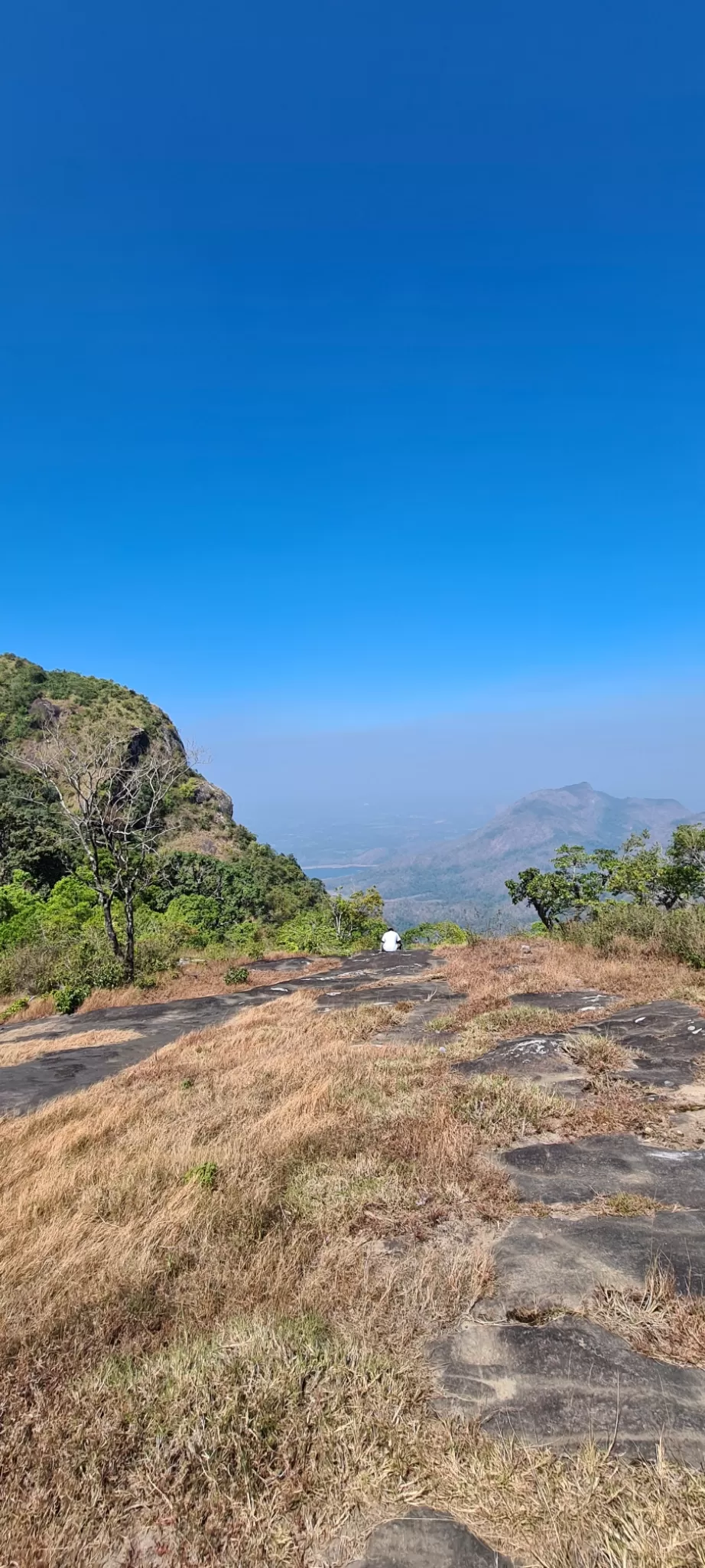 Photo of Nelliyampathy By Anjali kookal
