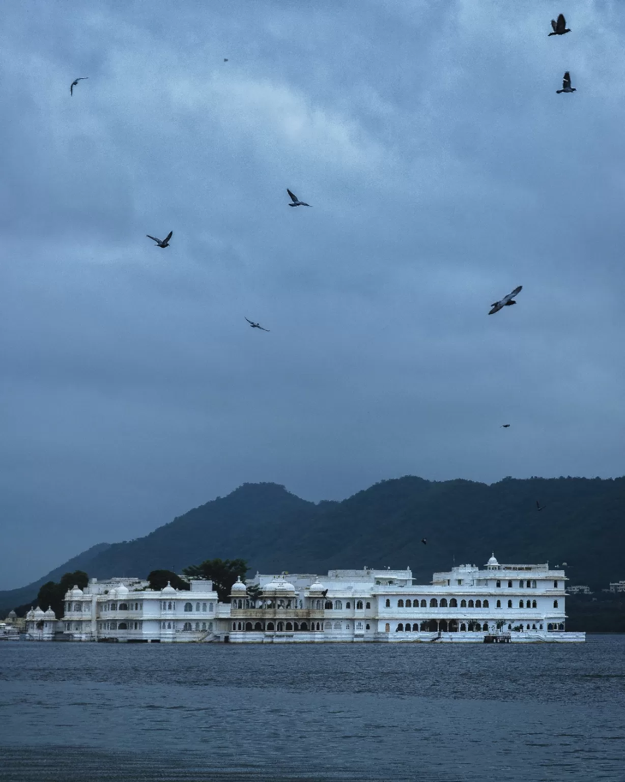 Photo of Taj Lake Palace By Jaishal Paneri