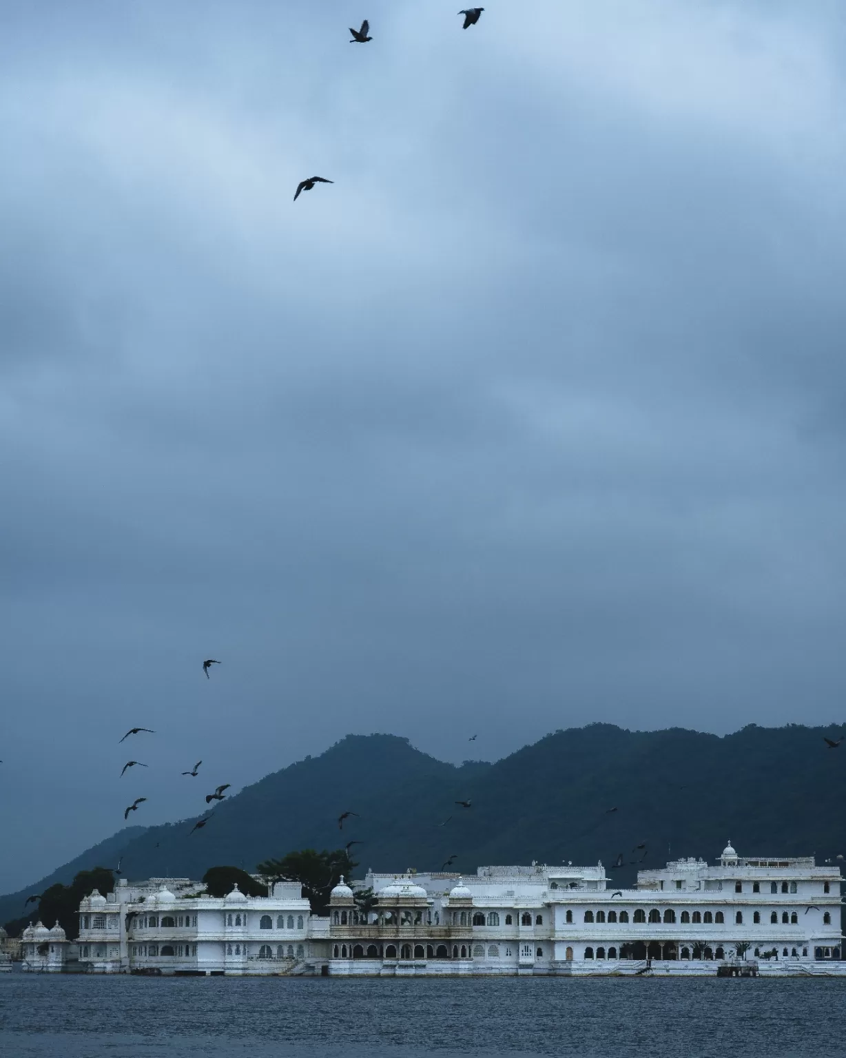 Photo of Taj Lake Palace By Jaishal Paneri