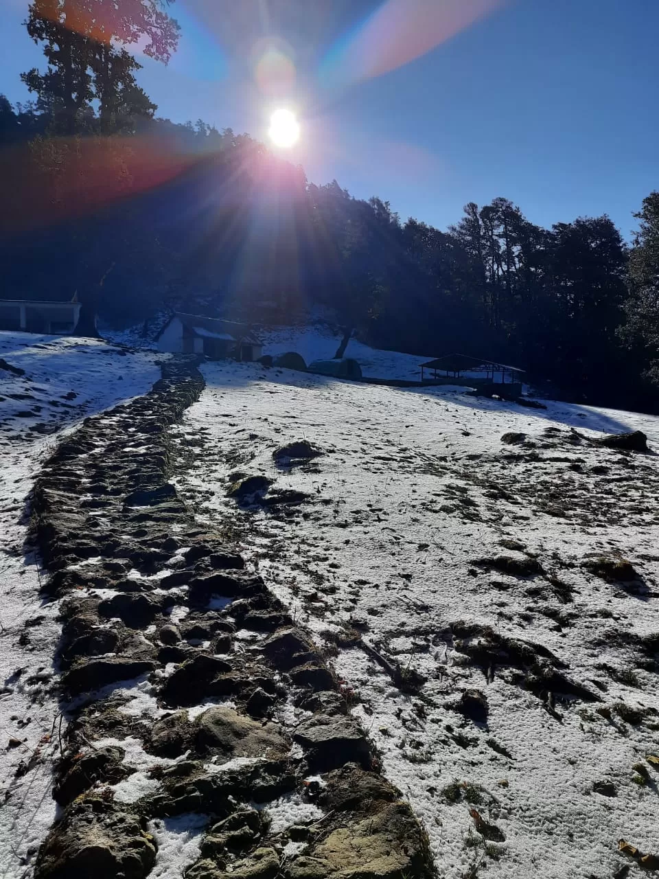 Photo of Gwaldam By Mohit Shah