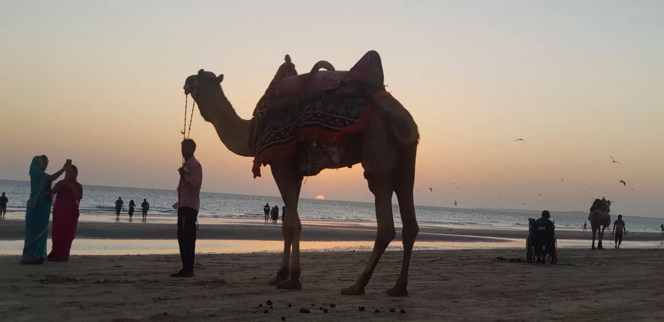 Photo of Kutch By Xplore The Earth