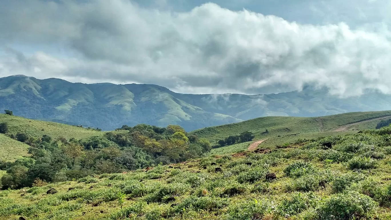 Photo of Mandalpatti Peak By Prashant Harit