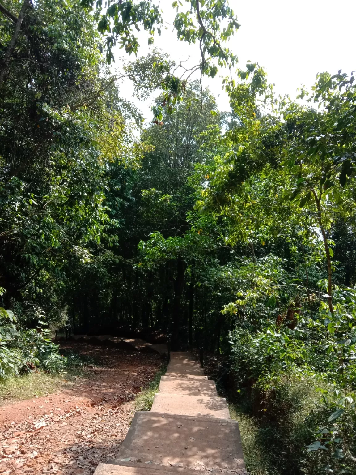 Photo of Unchalli Waterfalls By Ashwini Hegde