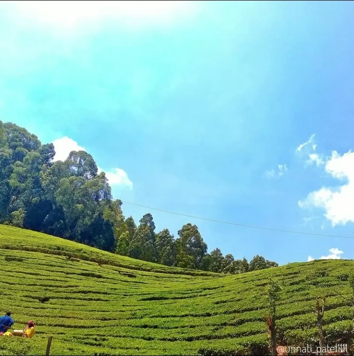 Photo of Ooty By Unnati Patel