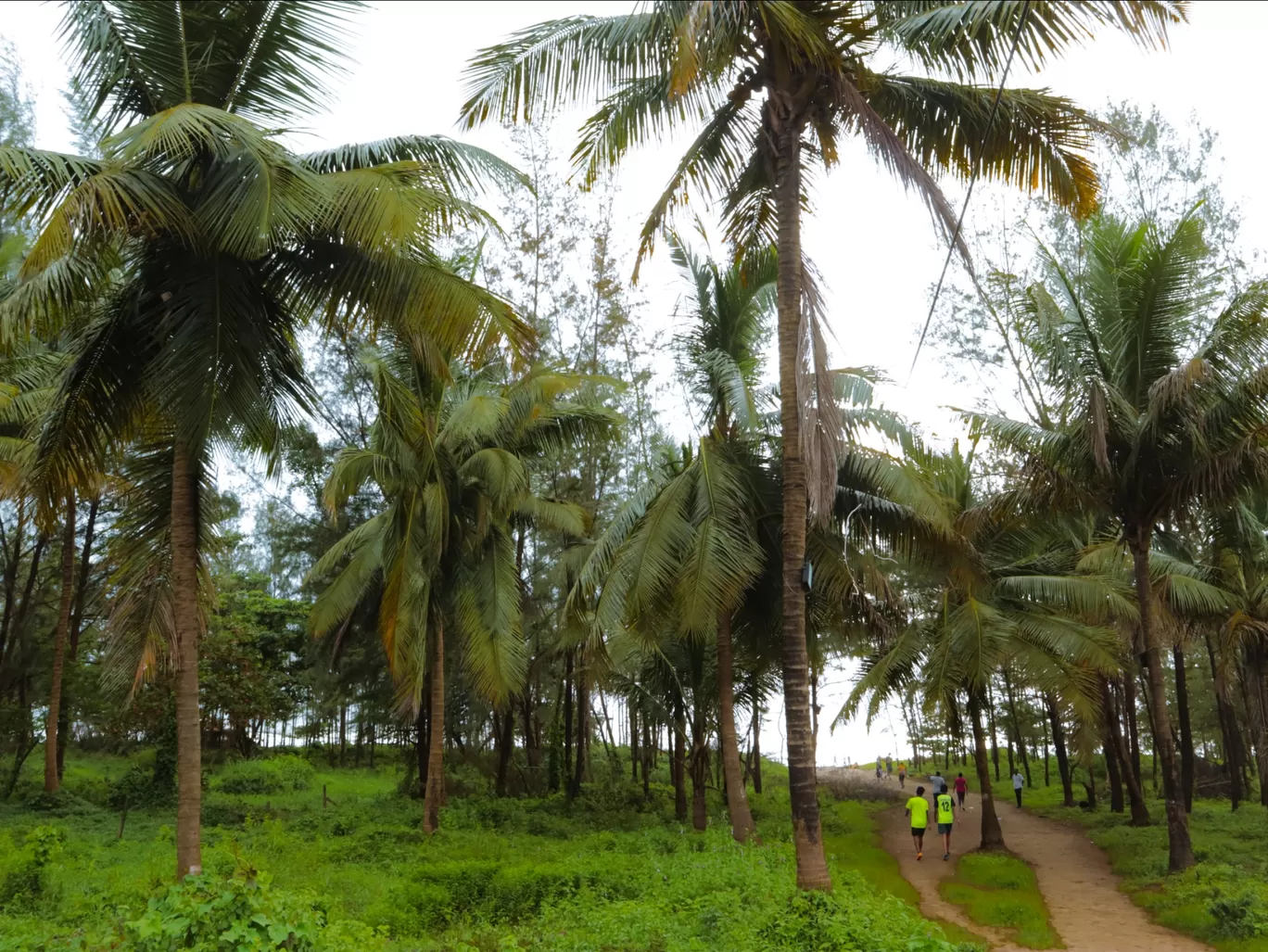 Photo of Caranzalem By Unnati Patel