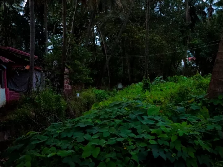 Photo of Clube de Ténis de Gaspar Dias By Unnati Patel