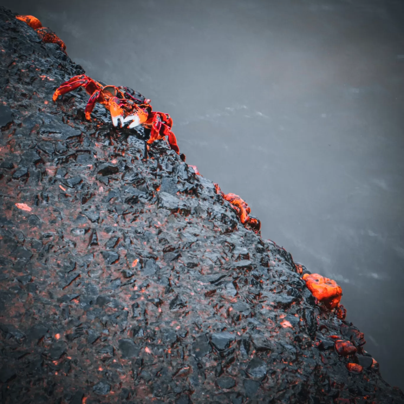 Photo of Dona Paula Beach By Unnati Patel