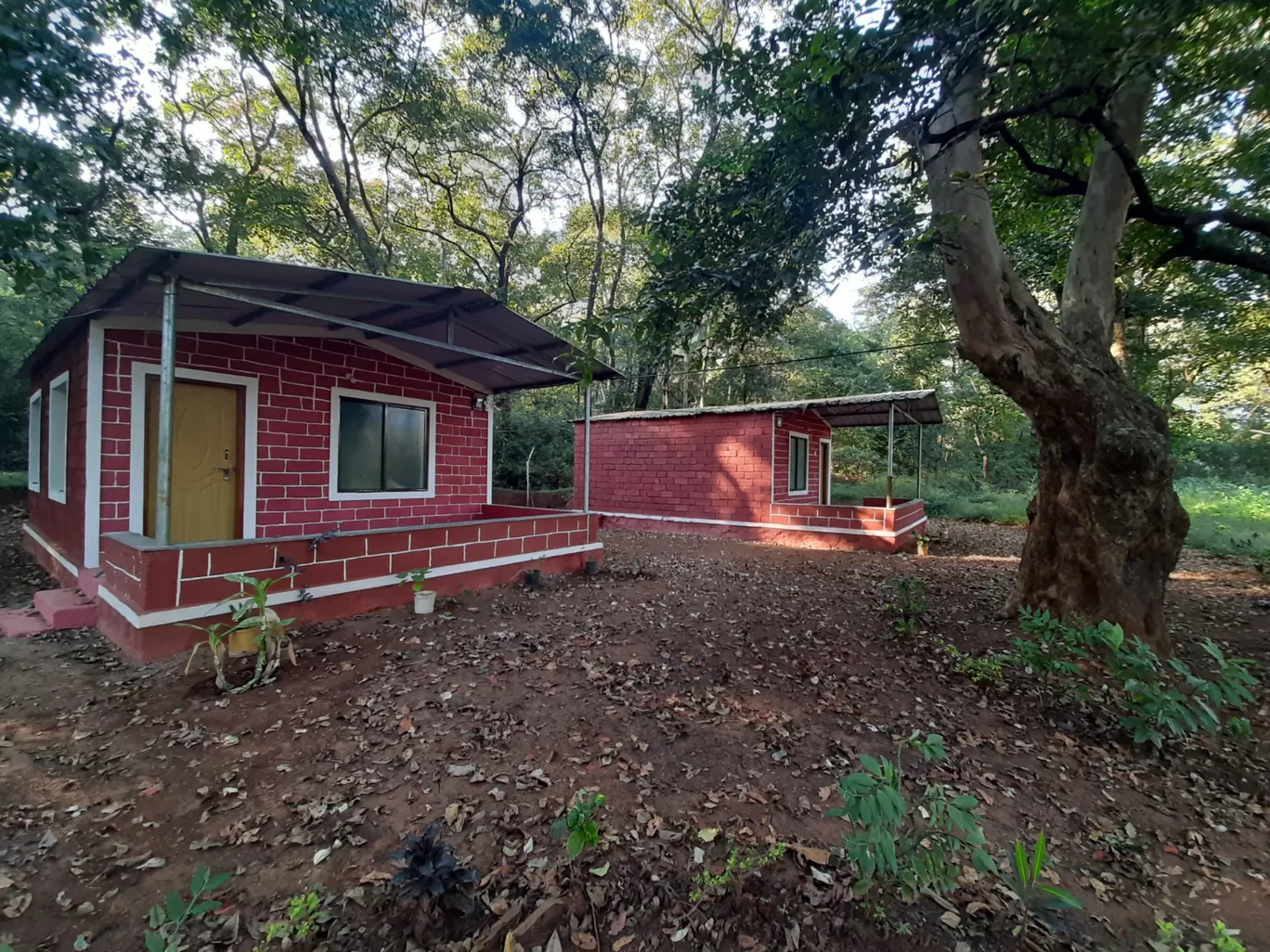 Photo of Joida By Black panther jungle home stay