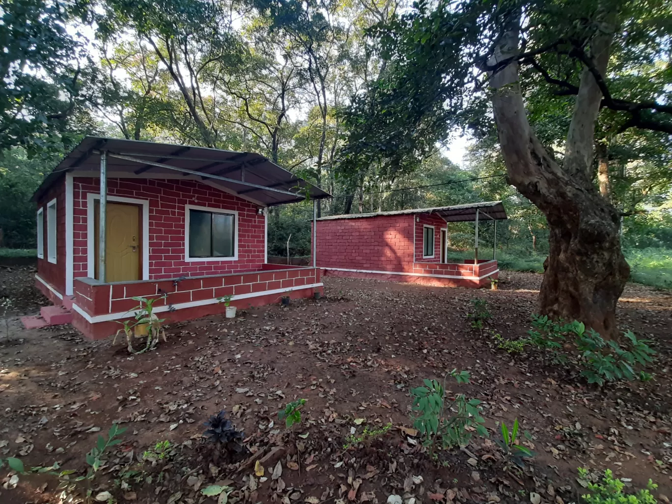 Photo of Joida By Black panther jungle home stay