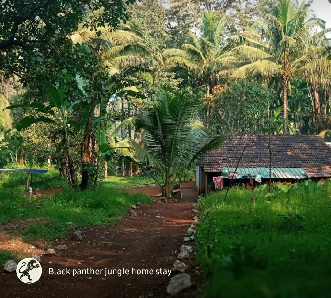 Photo of Joida By Black panther jungle home stay