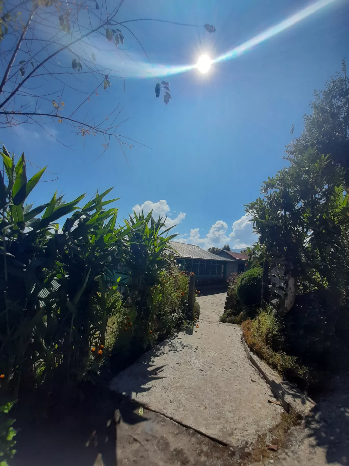 Photo of Sandakphu By trisita Chatterjee