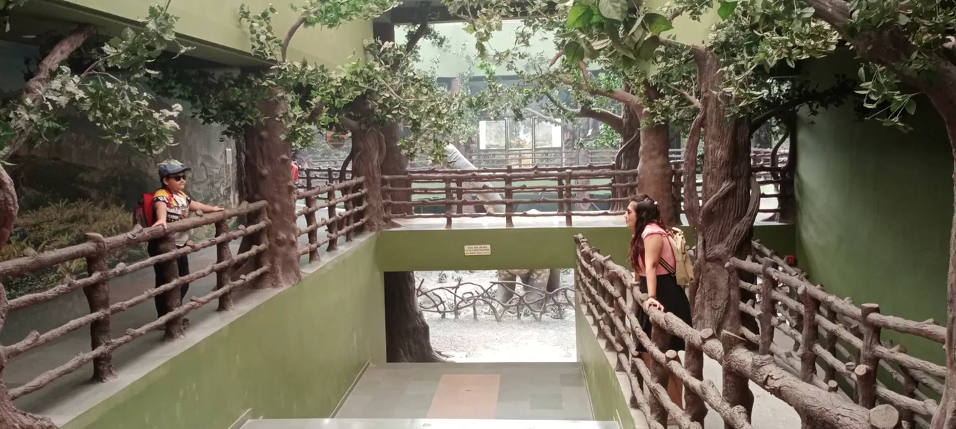 Photo of Maninagar Ahmedabad By Janet Mecwan