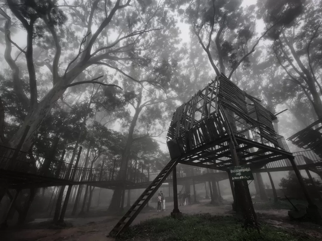 Photo of Nandi Hills By Deepak Panda