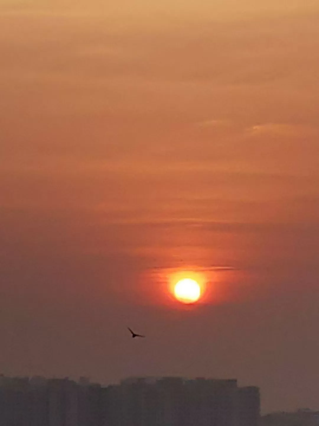 Photo of Prestige Falcon City By Tanisha Mundra