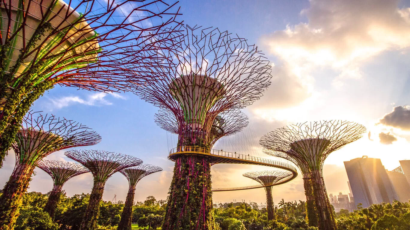 Photo of Singapore By Tanisha Mundra