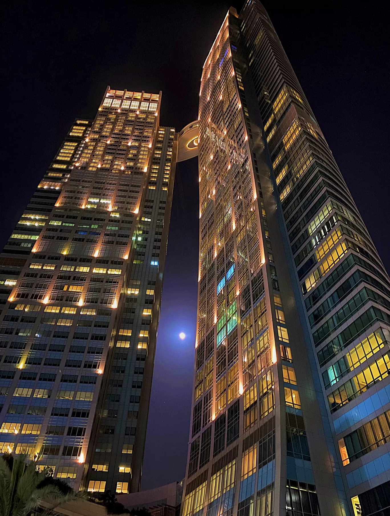 Photo of Abu Dhabi By Pooja