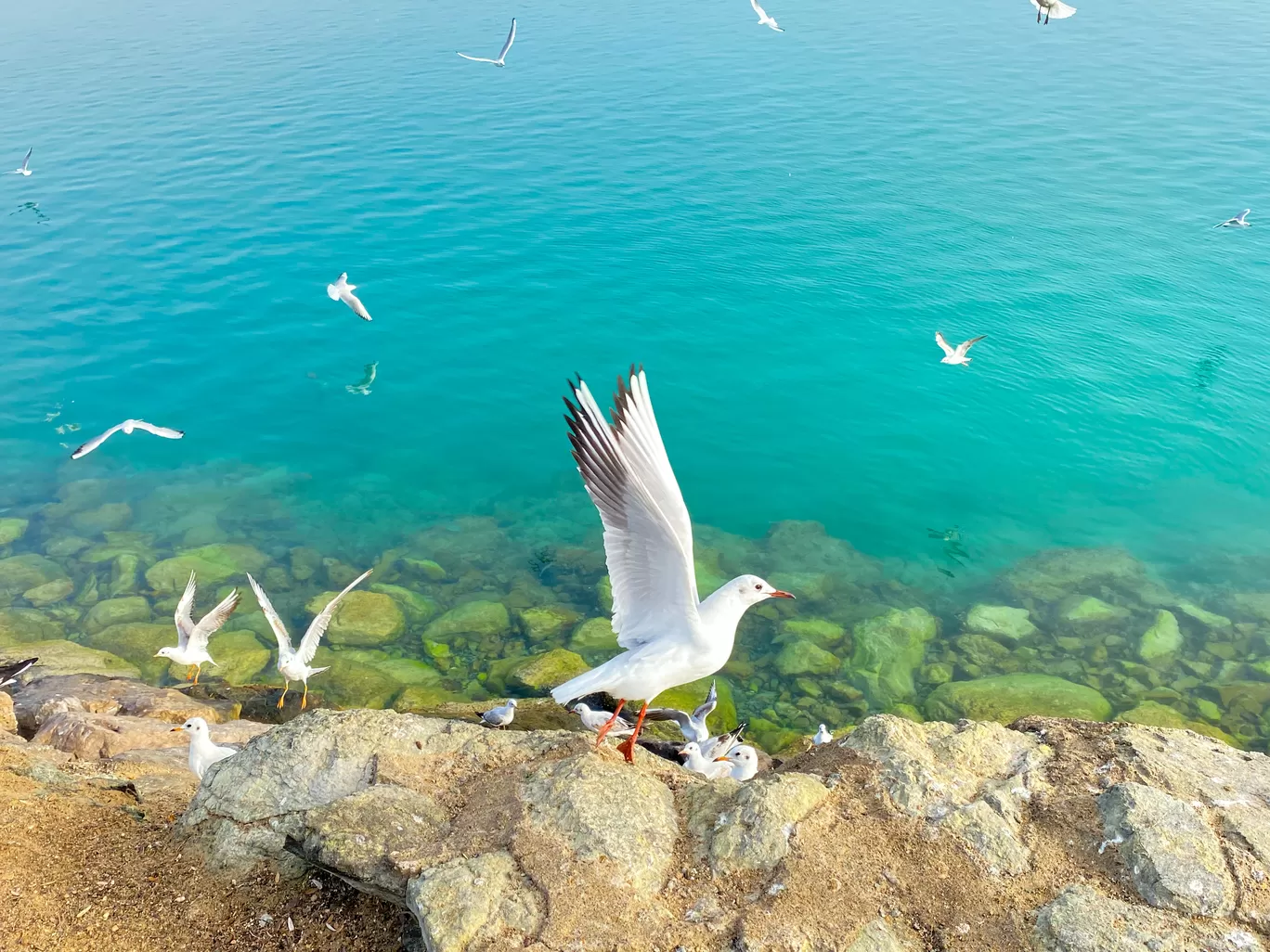 Photo of Abu Dhabi By Pooja