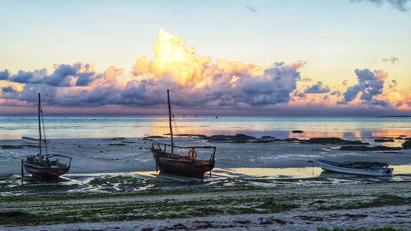 Photo of Zanzibar Island By చైతన్య యార్లగడ్డ