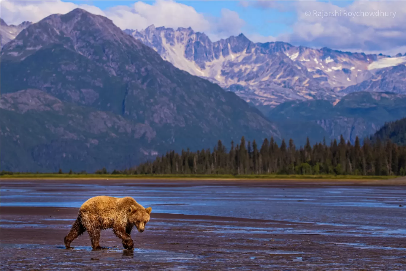 Photo of Alaska By Rajarshi Roychowdhury