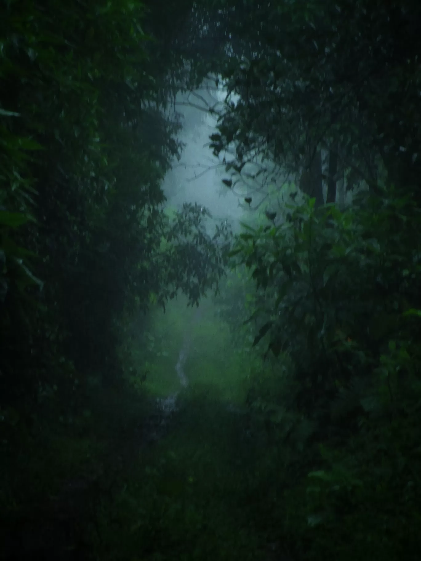 Photo of Wayanad By basil eliyas
