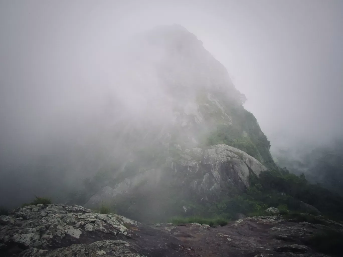 Photo of Wayanad By basil eliyas