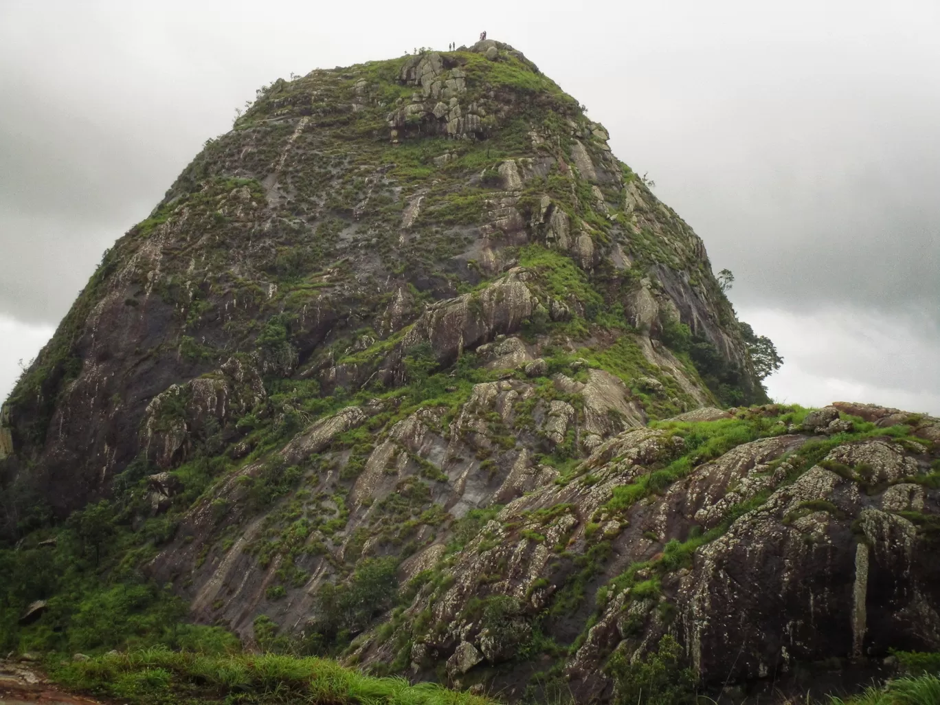 Photo of Wayanad By basil eliyas