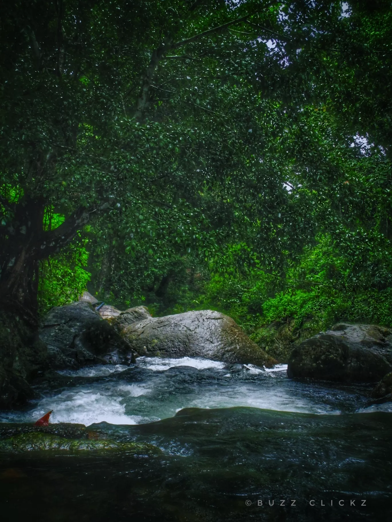 Photo of Wayanad By basil eliyas