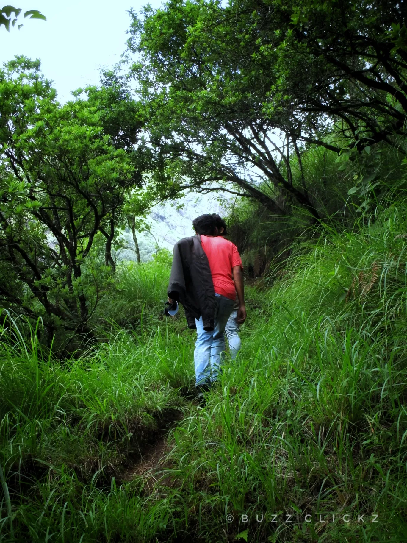 Photo of Wayanad By basil eliyas