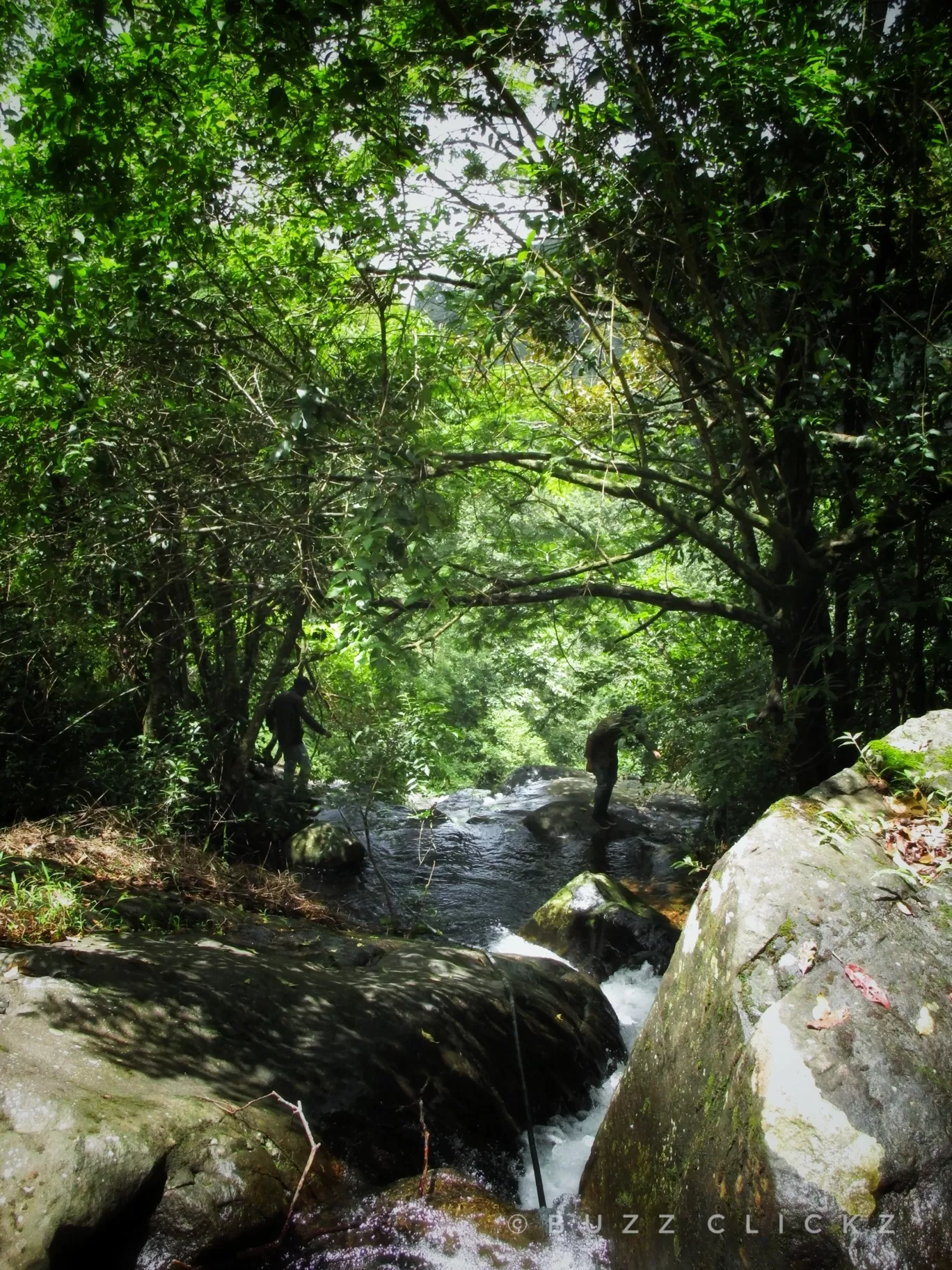 Photo of Wayanad By basil eliyas