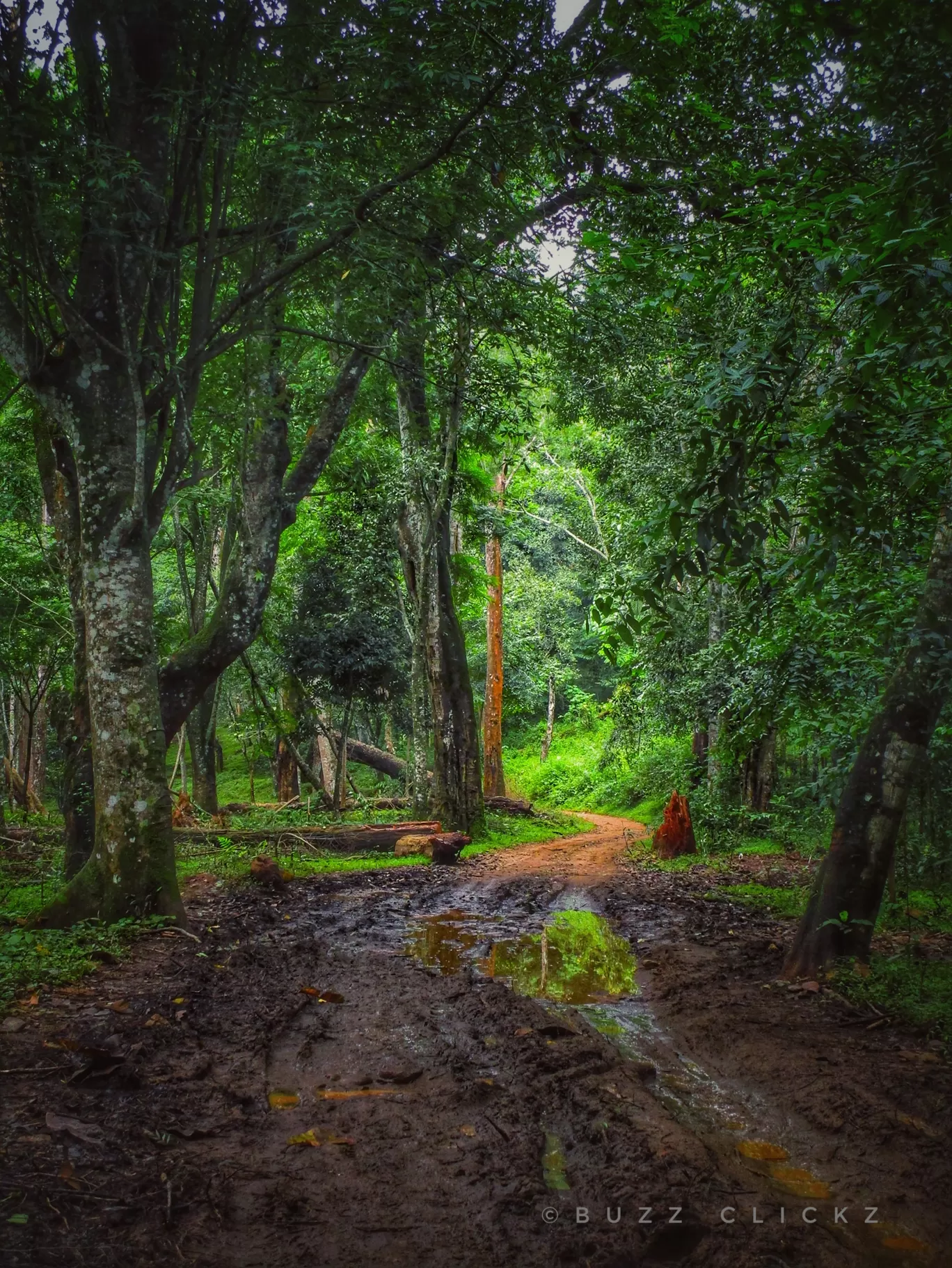 Photo of Wayanad By basil eliyas