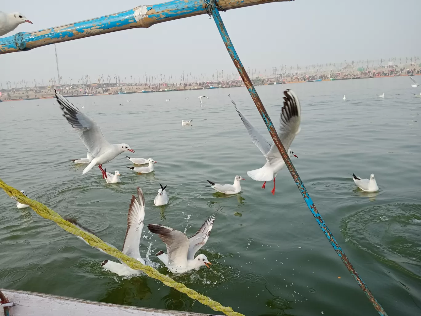 Photo of Prayagraj By Nitesh Kumar Singh