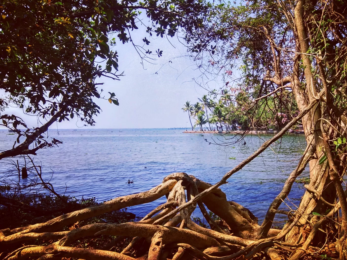Photo of Kumarakom Bird Sanctuary Observatory Tower By Aswin Abraham John