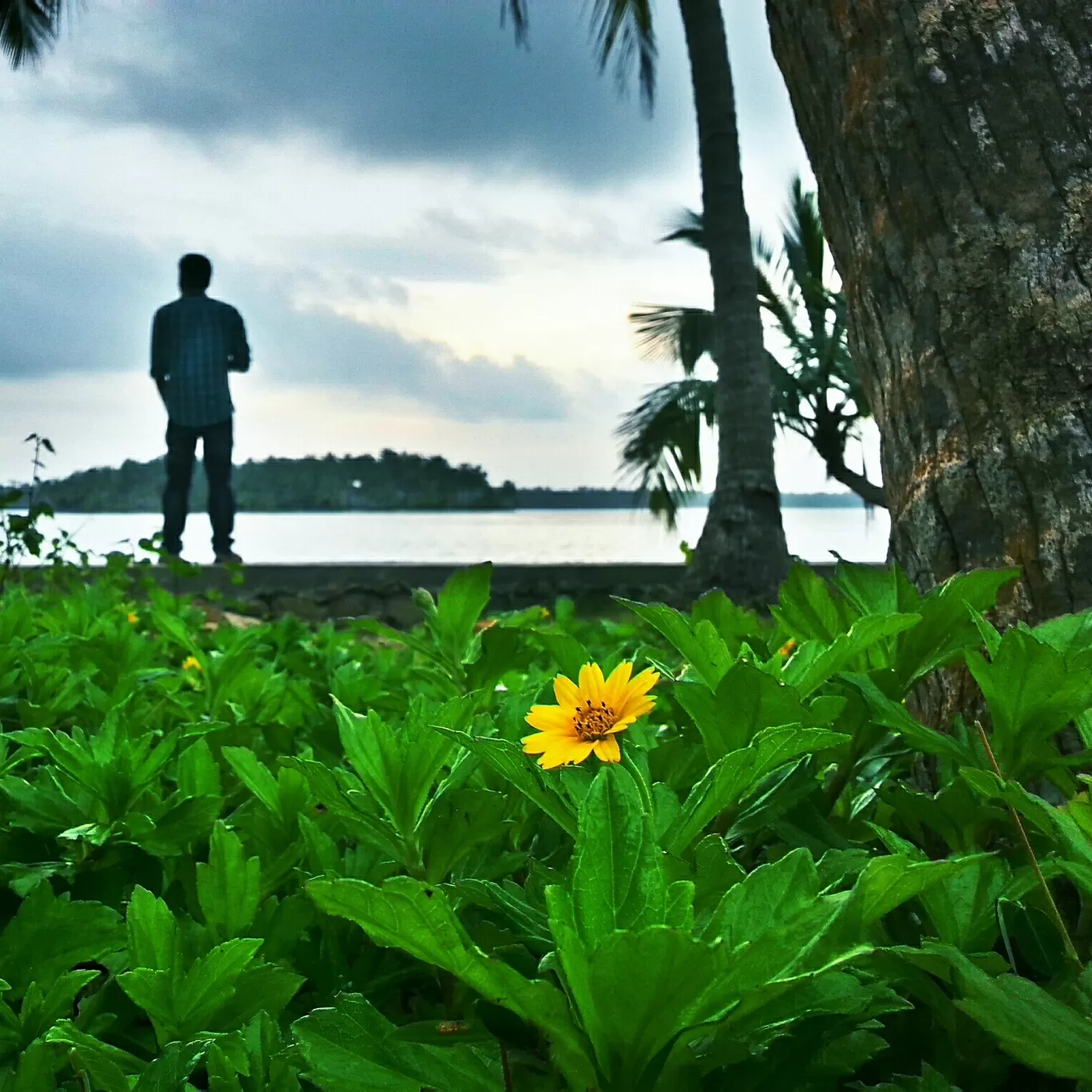 Photo of Kavvayi Island camp By Aswin Abraham John