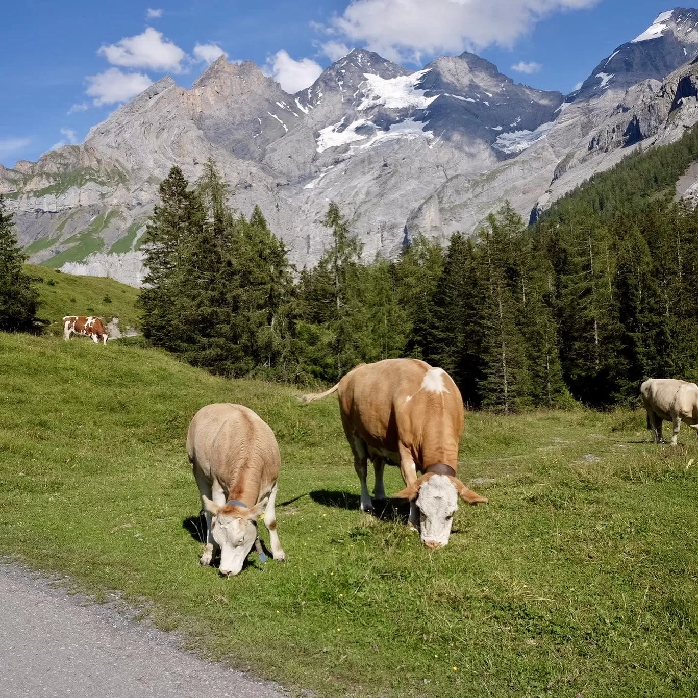 Photo of Switzerland By Woolgathering Wonders
