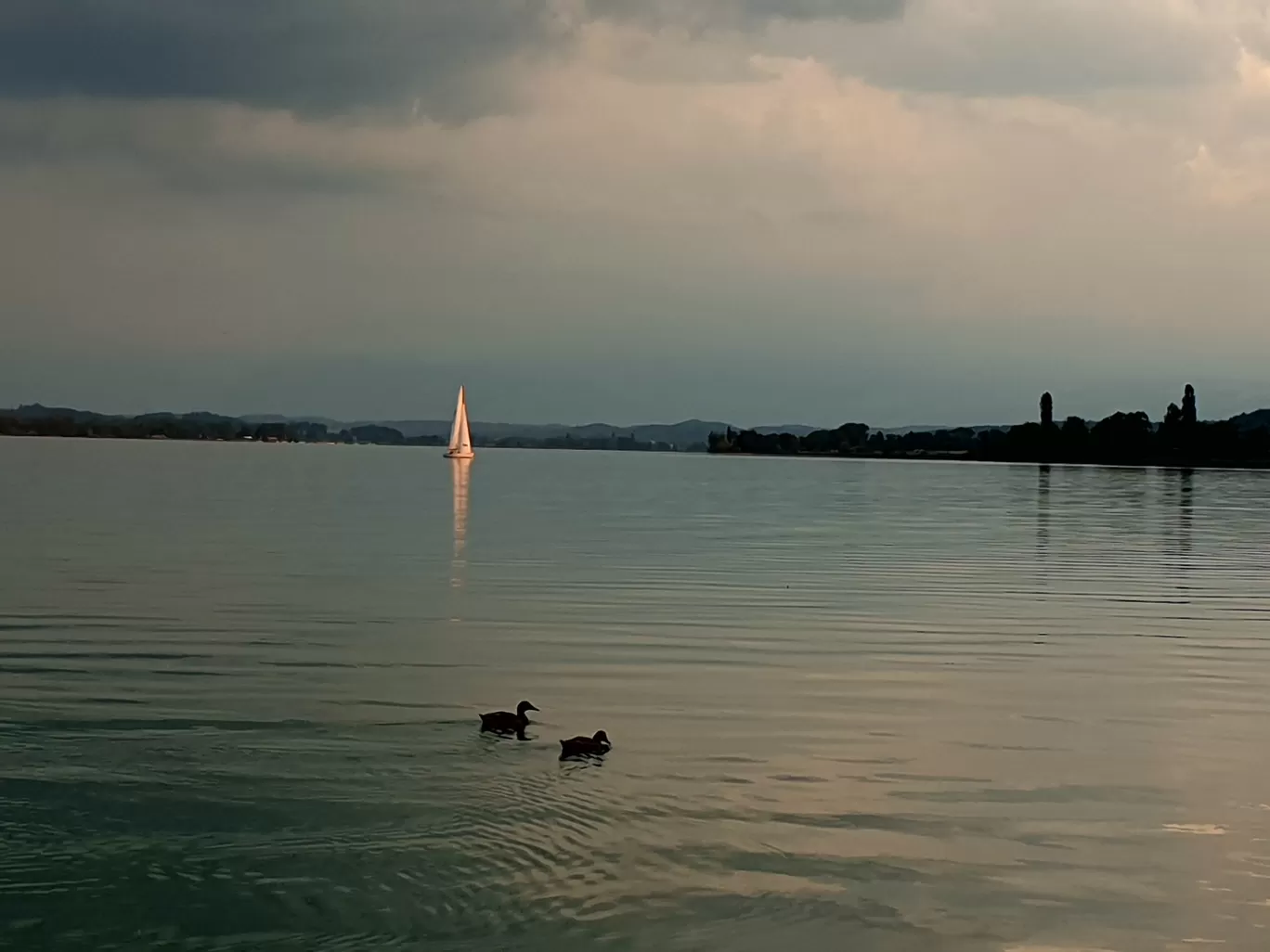 Photo of Lake Zurich By Woolgathering Wonders