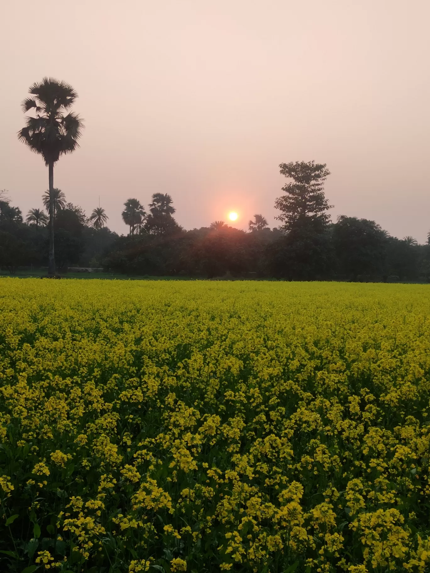 Photo of Rajasthan By Nita Singh