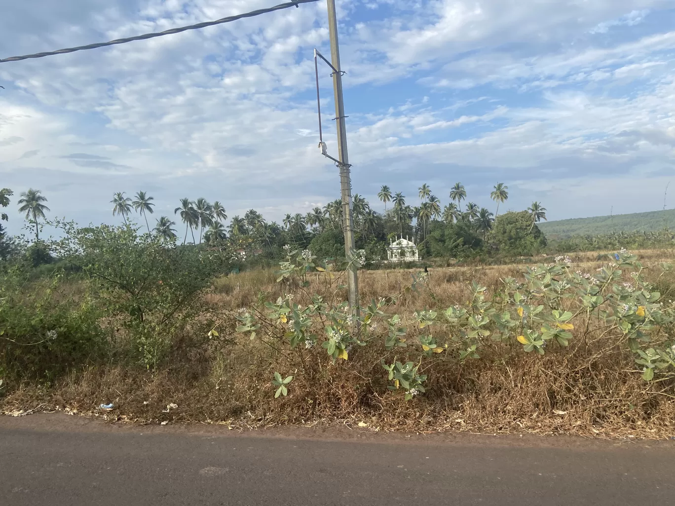 Photo of Goa By Minakshi 
