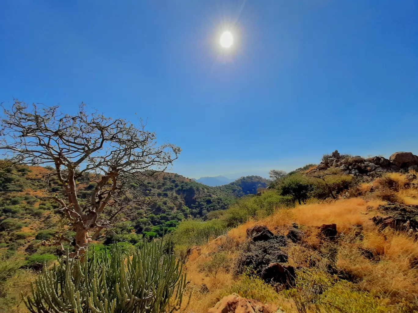 Photo of Sirohi By Jayant K. Surana