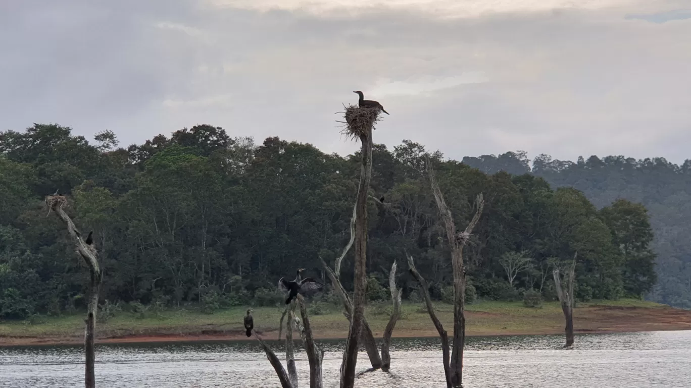 Photo of Thekkady By Destination on Wheels