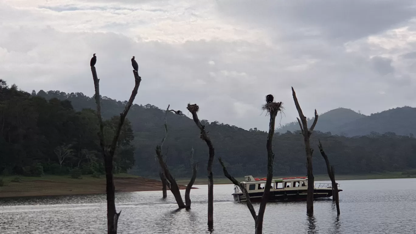 Photo of Thekkady By Destination on Wheels