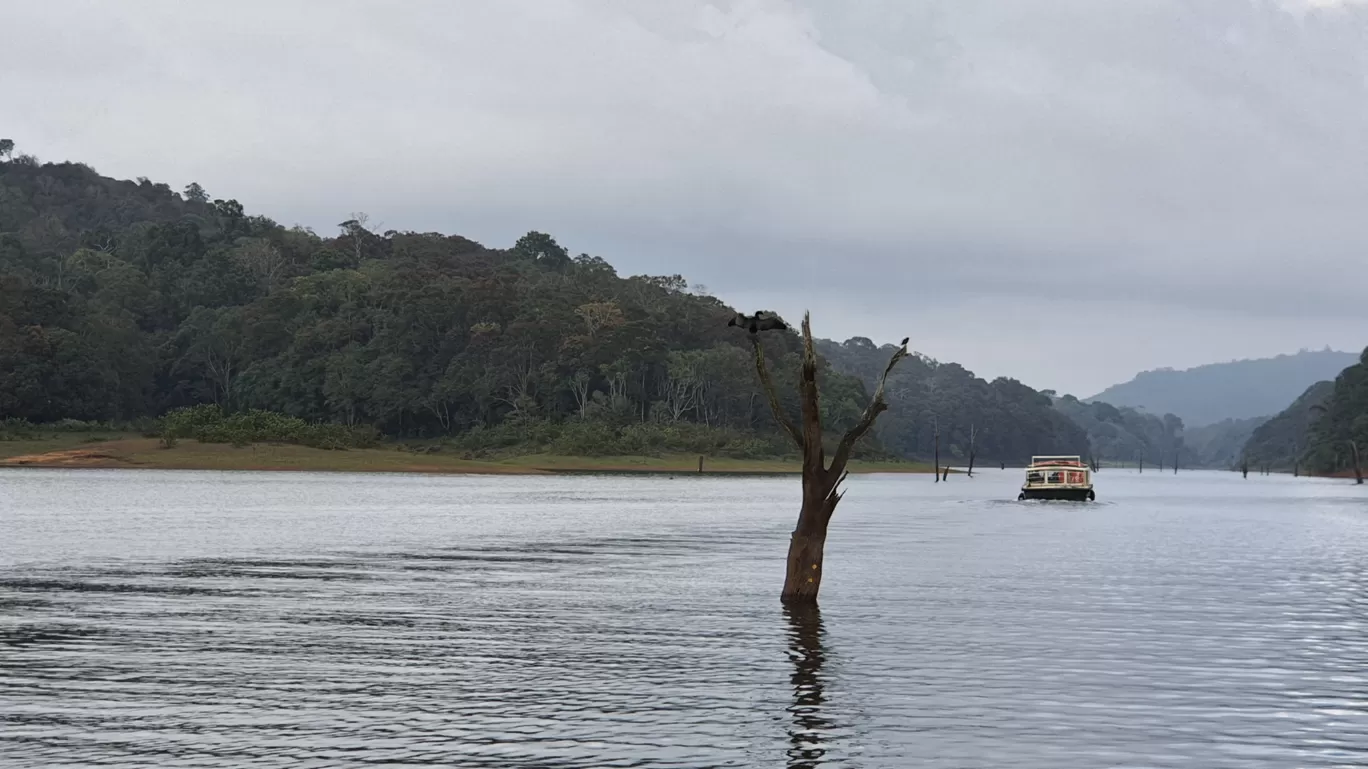 Photo of Thekkady By Destination on Wheels