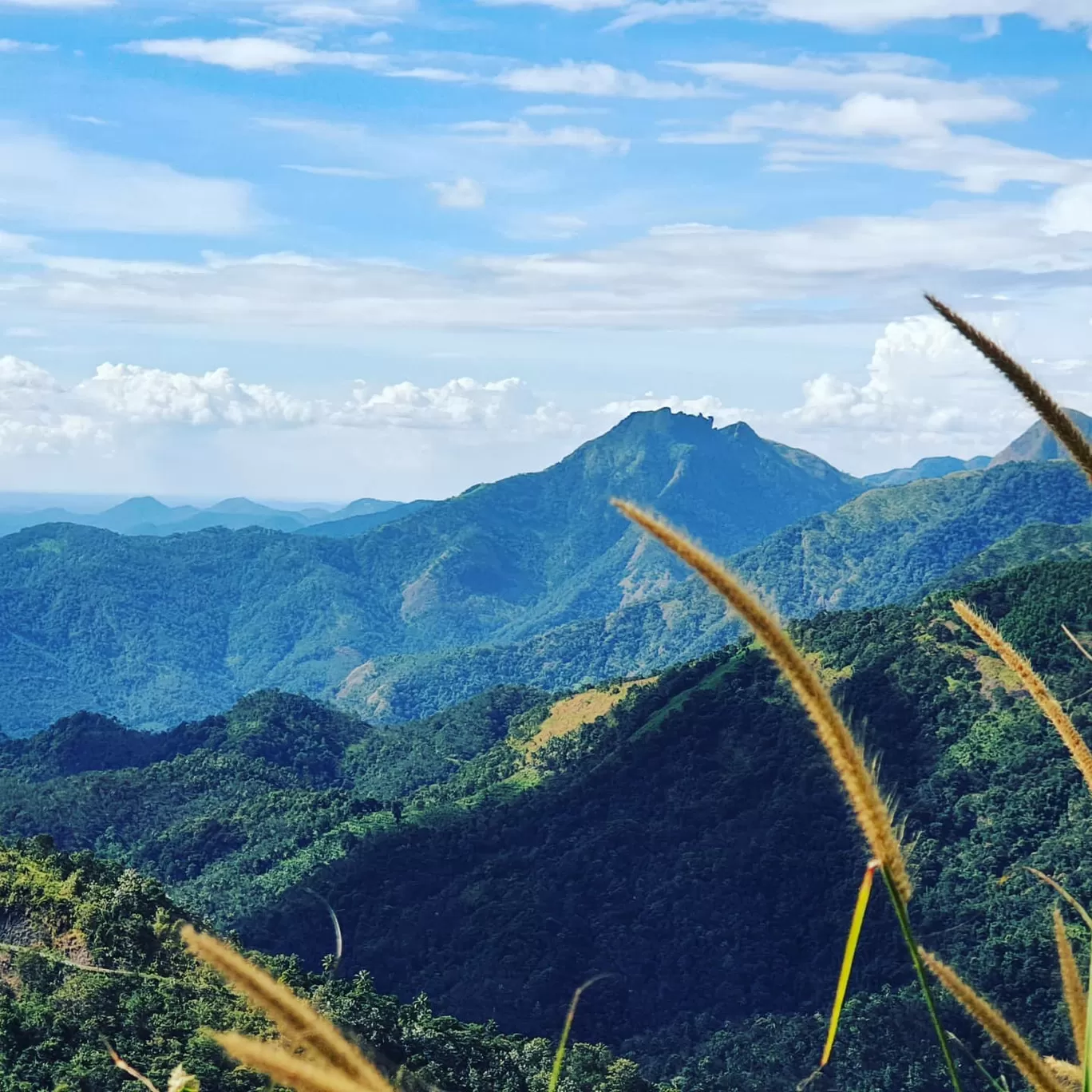 Photo of Vagamon By Destination on Wheels