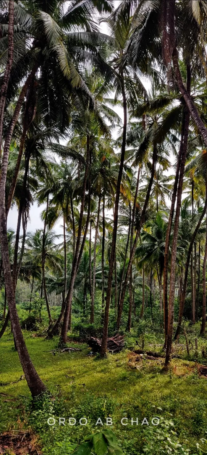 Photo of Bogmalo Beach By Ordo Ab Chao Blogger