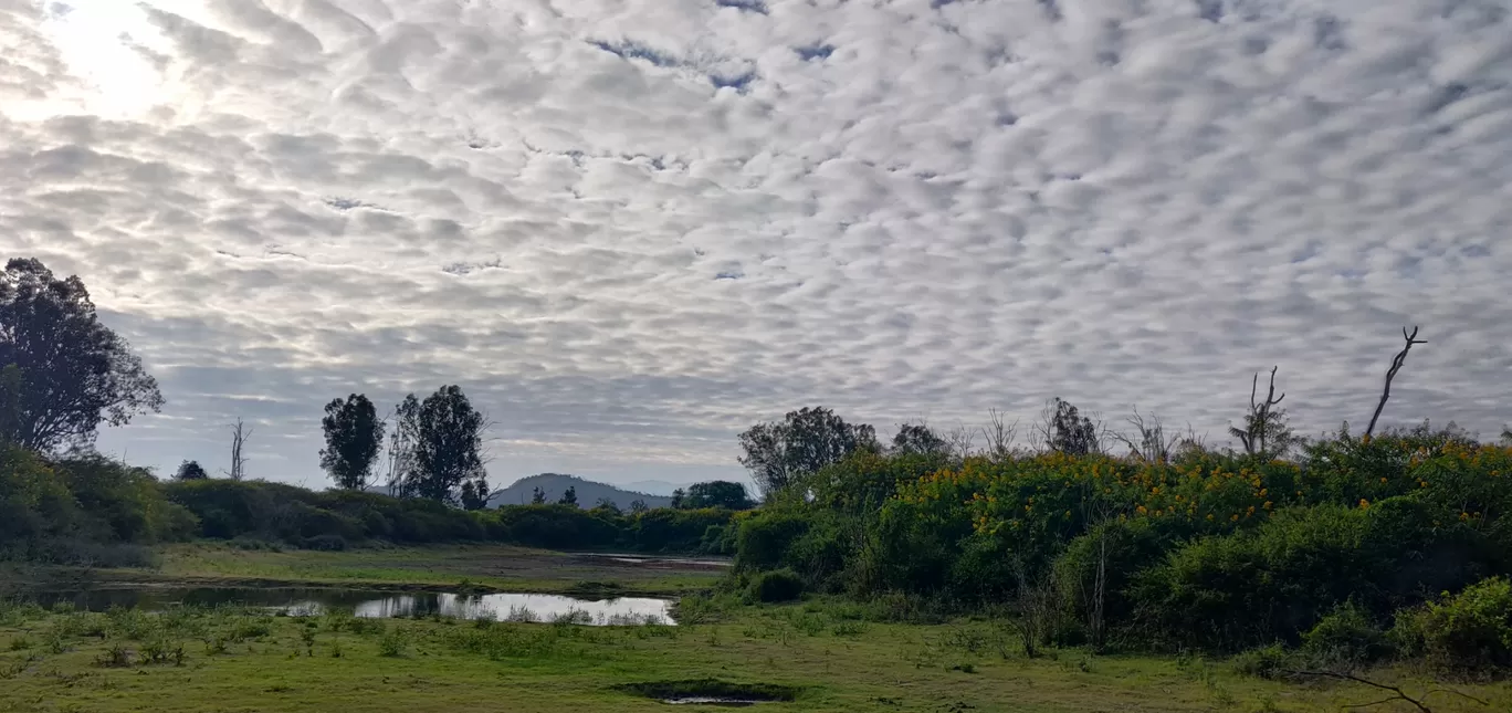 Photo of Bandipur National Park By vino-gowthaman