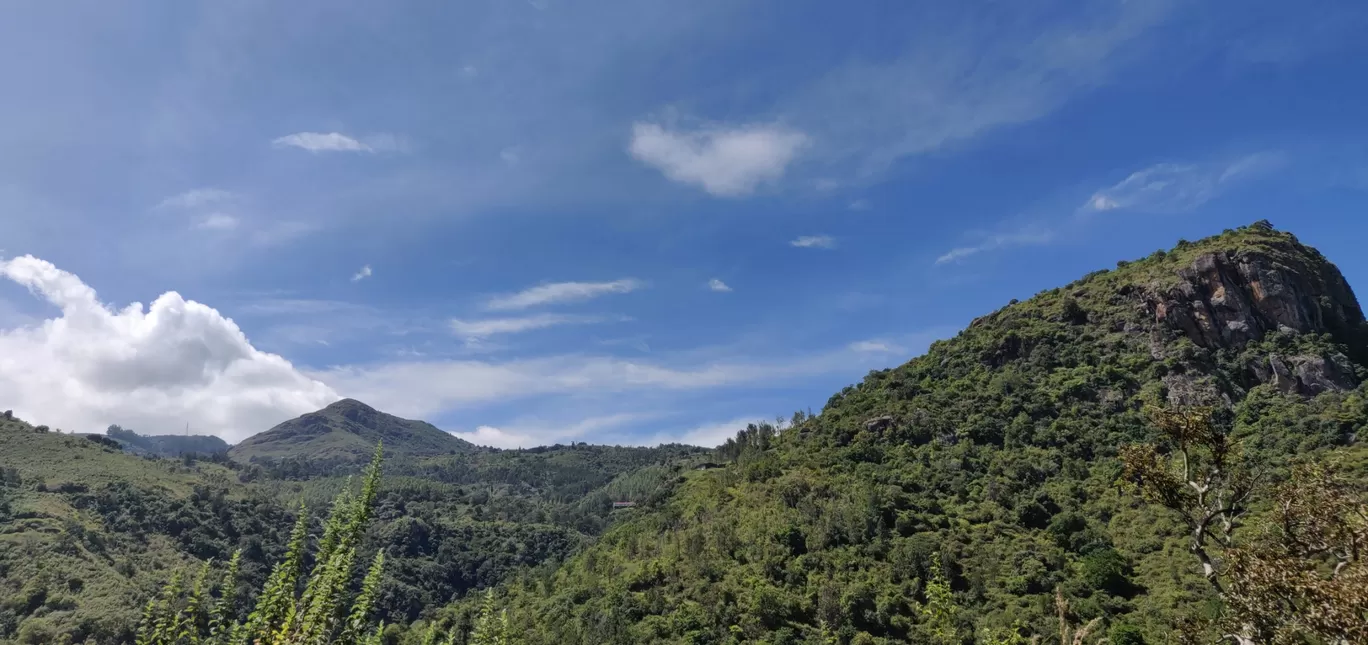 Photo of Bandipur National Park By vino-gowthaman