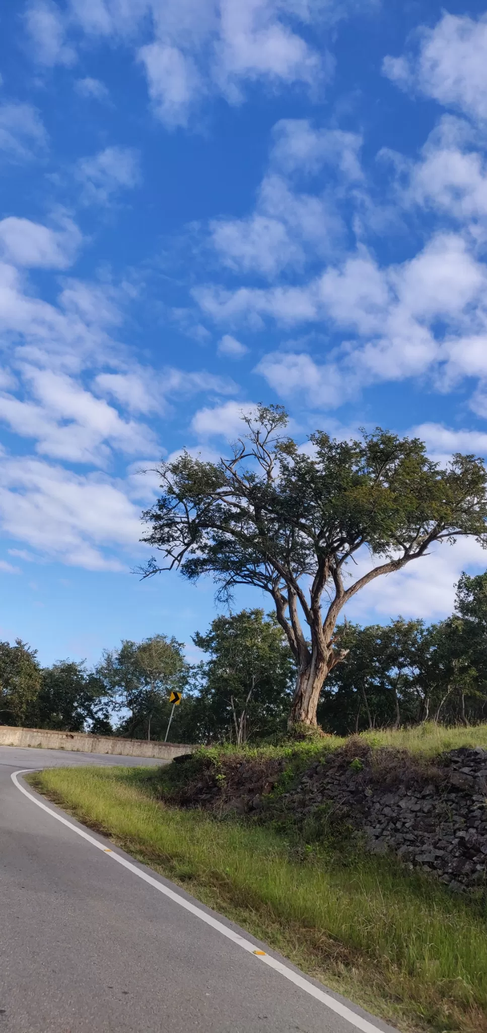 Photo of Bandipur National Park By vino-gowthaman